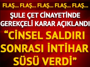 Ankara 31. Ağır Ceza Mahkemesi, Şule Çet cinayeti davasında sanıklar