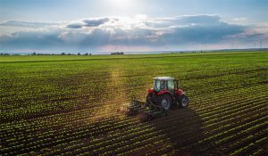 Türk Tarım Hukukunda arazi toplulaştırılması kavramını ele almadan önce, arazi