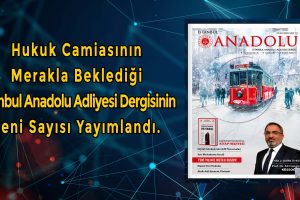 İstanbul Anadolu Adliyesi Dergisinin Yeni Sayısı Yayımlandı