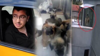 Ankara'da sokak hayvanlarını "sahiplenme bahanesiyle" evine alan ve ardından katleden